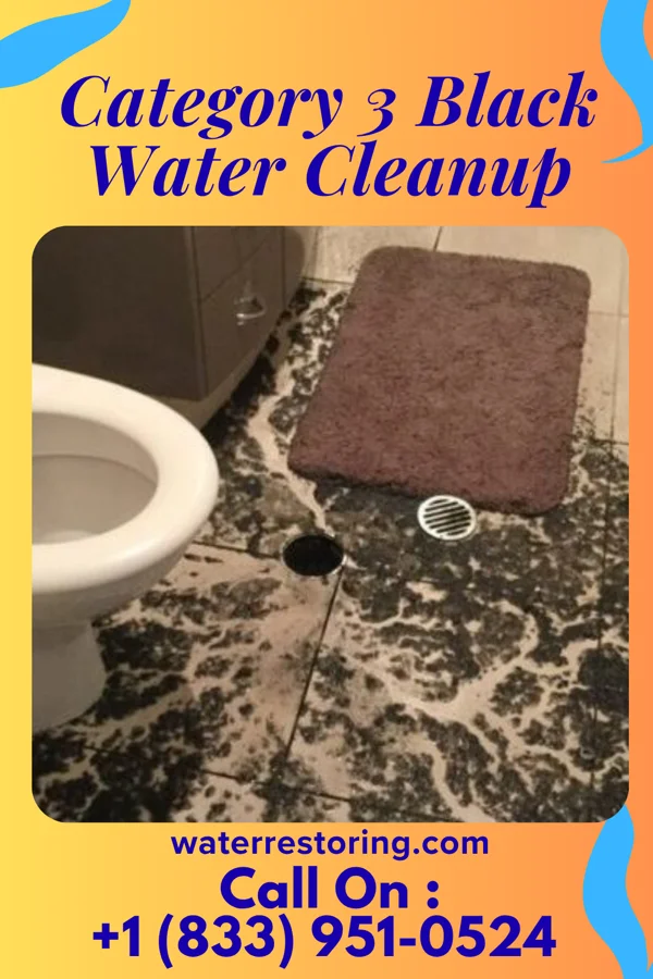 Category 3 Black Water Cleanup in Kurten, TX