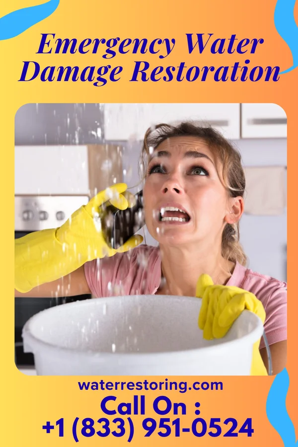 Emergency Water Damage Restoration in Kurten, TX